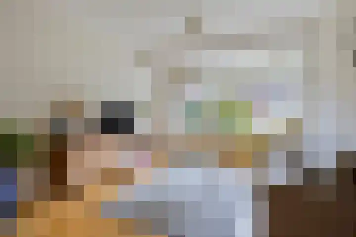 Hoogmeer 1511 Wijchen thumbnail 6