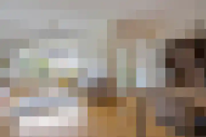 Hoogmeer 1511 Wijchen thumbnail 7