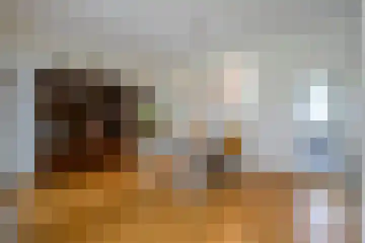 Hoogmeer 1511 Wijchen thumbnail 8