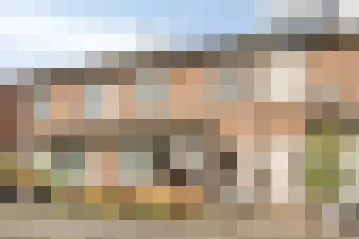 Hoogmeer 1925 dans Wijchen