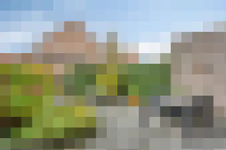 Hoogmeer 1925 Wijchen thumbnail 23