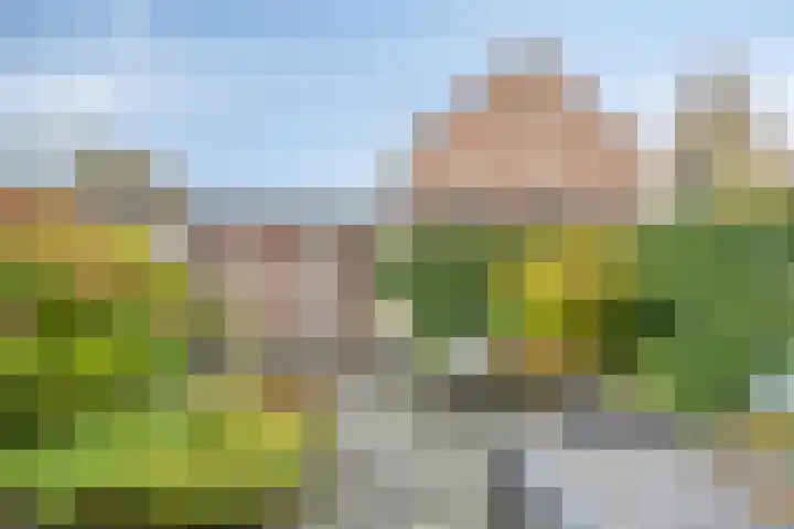Hoogmeer 1925 Wijchen thumbnail 24