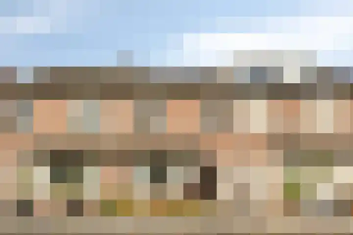 Hoogmeer 1925 Wijchen thumbnail 29