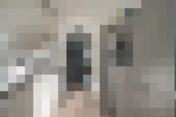 Hoogmeer 1930 Wijchen thumbnail 13