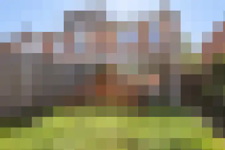 Hoogmeer 2021 Wijchen thumbnail 17