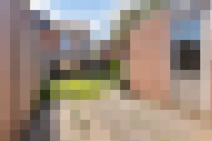 Hoogmeer 2021 Wijchen thumbnail 18