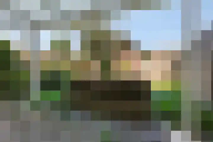 Hoogmeer 2021 Wijchen thumbnail 19