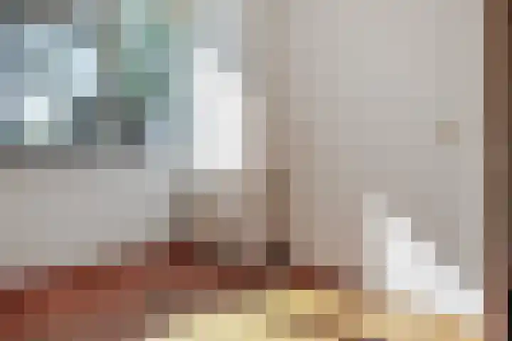 Hoogmeer 2021 Wijchen thumbnail 5