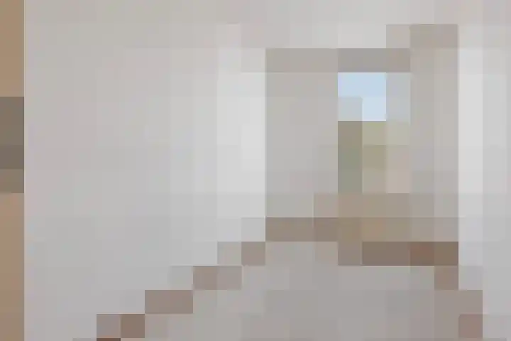 Hoogmeer 2021 Wijchen thumbnail 7