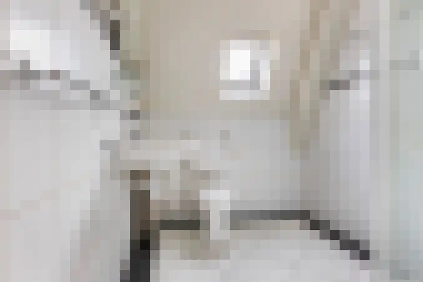Hoogmeer 2029 Wijchen thumbnail 11