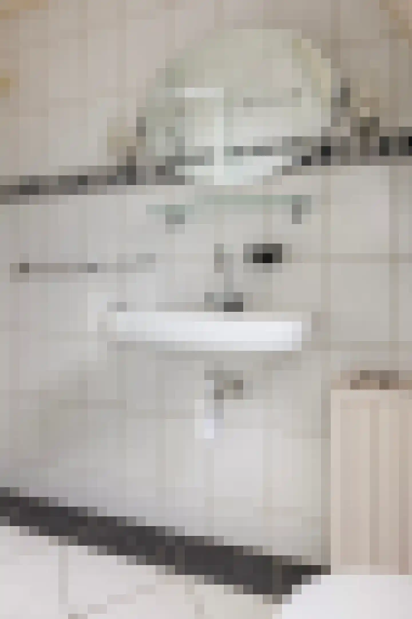 Hoogmeer 2029 Wijchen thumbnail 12