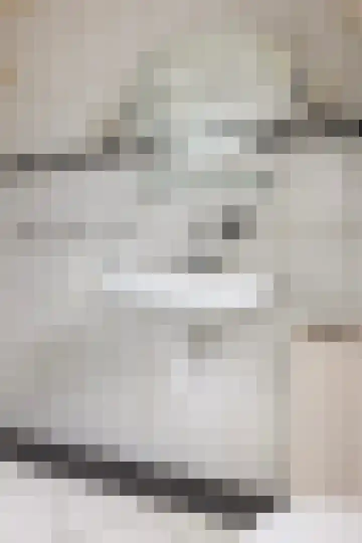 Hoogmeer 2029 Wijchen thumbnail 12
