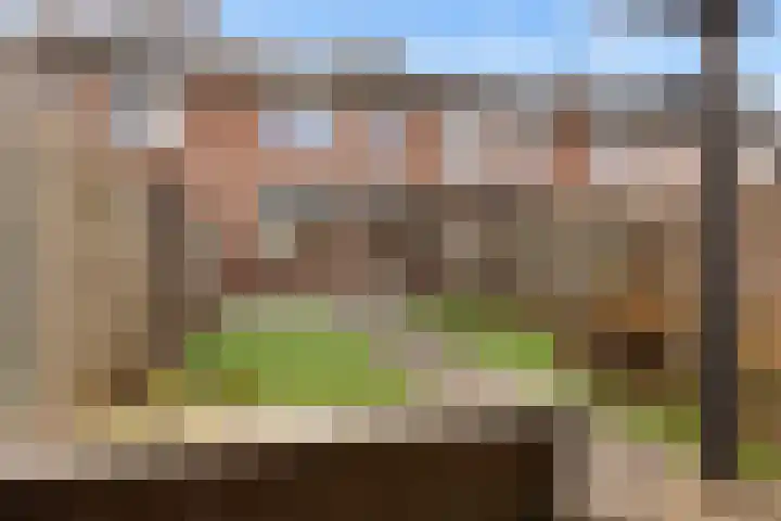 Hoogmeer 2029 Wijchen thumbnail 19