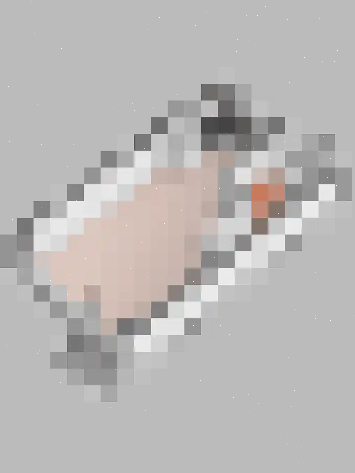 Hoogmeer 2029 Wijchen thumbnail 25