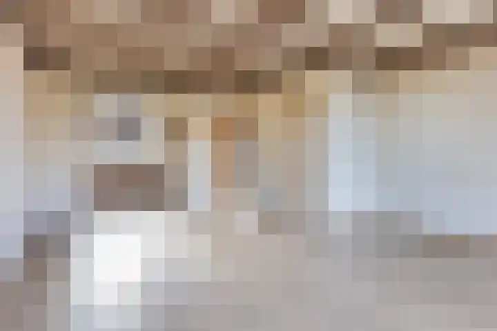 Hoogmeer 2029 Wijchen thumbnail 5