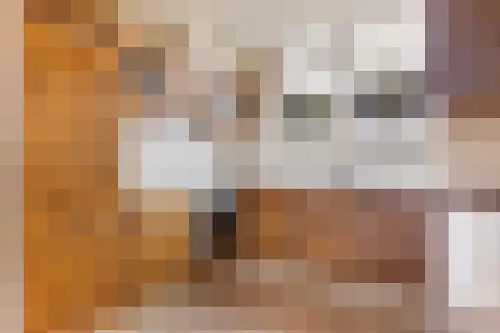 Hoogmeer 2029 Wijchen thumbnail 6