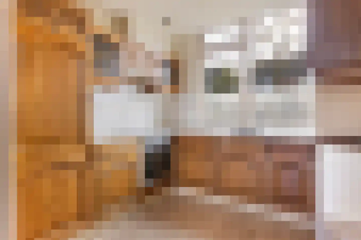 Hoogmeer 2029 Wijchen thumbnail 6