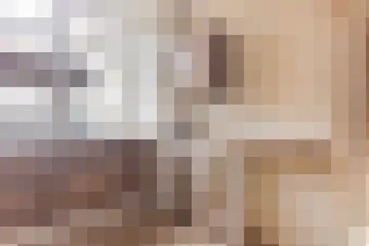 Hoogmeer 2029 Wijchen thumbnail 7