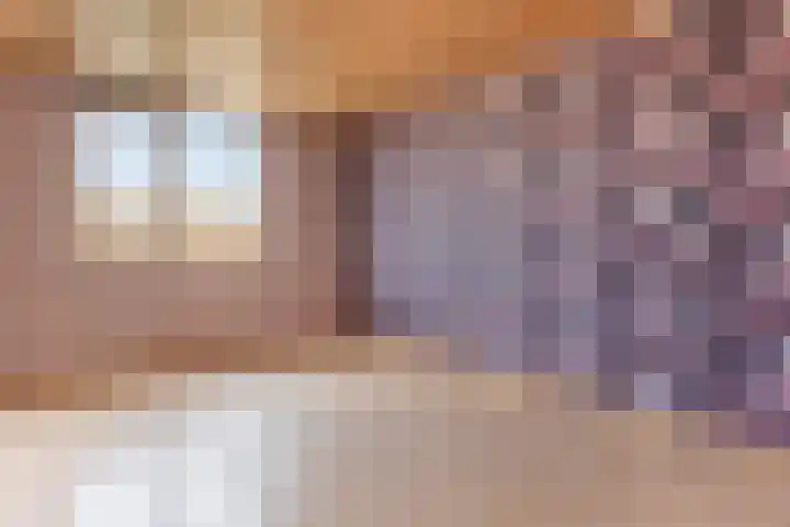 Hoogmeer 2029 Wijchen thumbnail 9