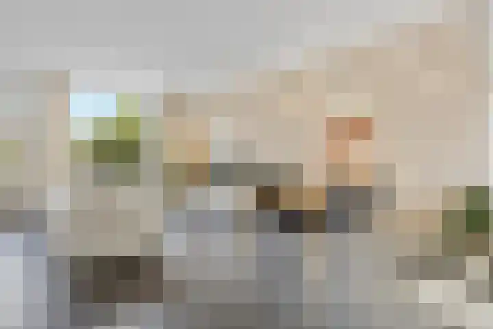 Hoogmeer 2033 Wijchen thumbnail 10