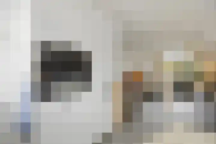 Hoogmeer 2033 Wijchen thumbnail 12
