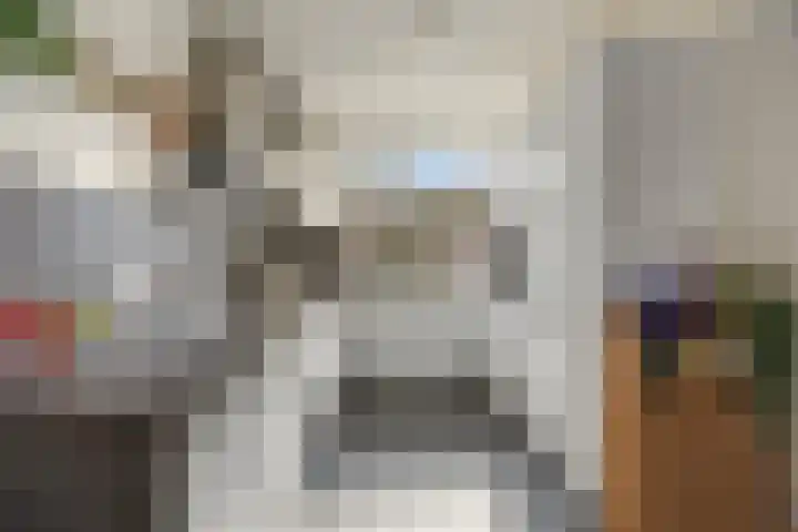 Hoogmeer 2033 Wijchen thumbnail 13