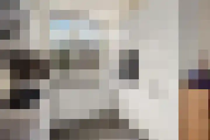 Hoogmeer 2033 Wijchen thumbnail 14