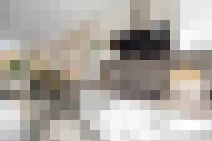 Hoogmeer 2033 Wijchen thumbnail 15