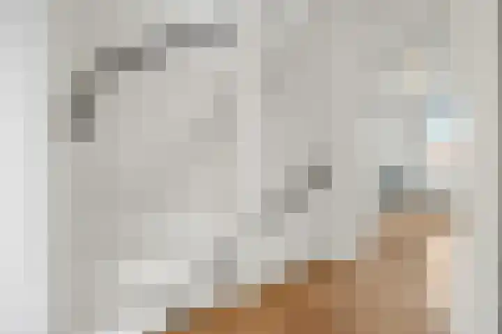 Hoogmeer 2033 Wijchen thumbnail 18