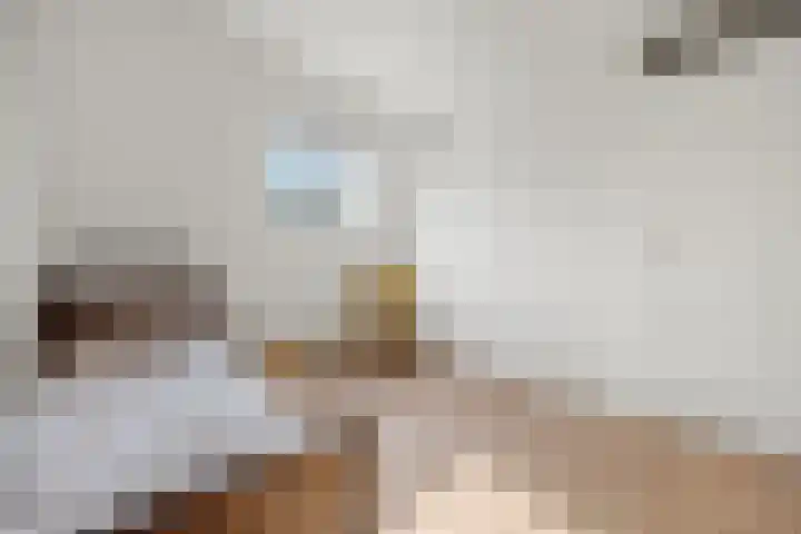 Hoogmeer 2033 Wijchen thumbnail 19
