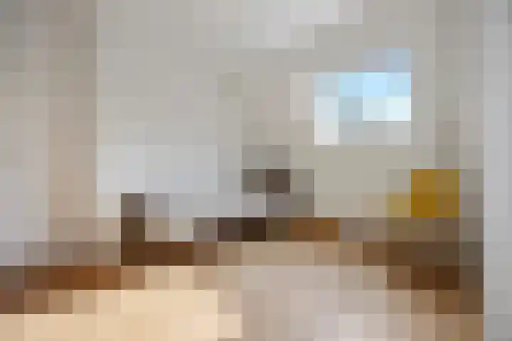 Hoogmeer 2033 Wijchen thumbnail 21