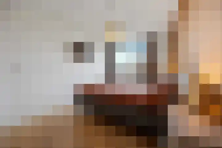 Hoogmeer 2033 Wijchen thumbnail 22