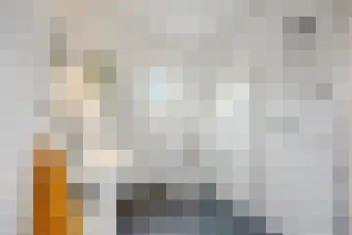Hoogmeer 2033 Wijchen thumbnail 27