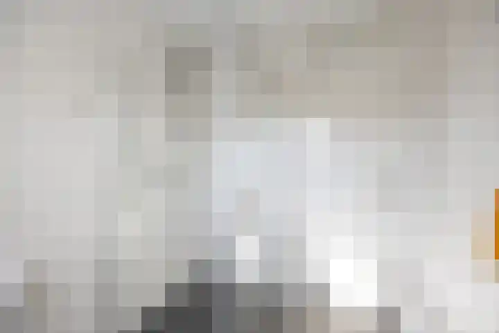 Hoogmeer 2033 Wijchen thumbnail 28