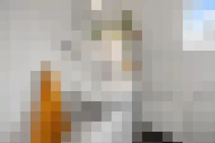 Hoogmeer 2033 Wijchen thumbnail 29