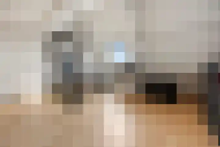 Hoogmeer 2033 Wijchen thumbnail 30