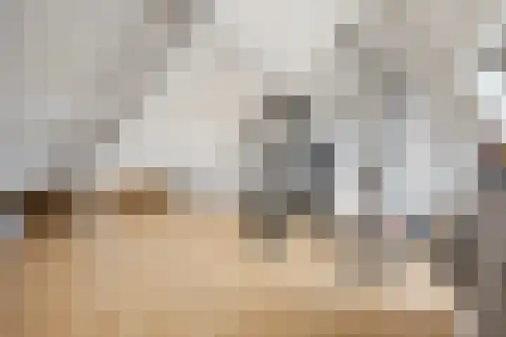 Hoogmeer 2033 Wijchen thumbnail 31