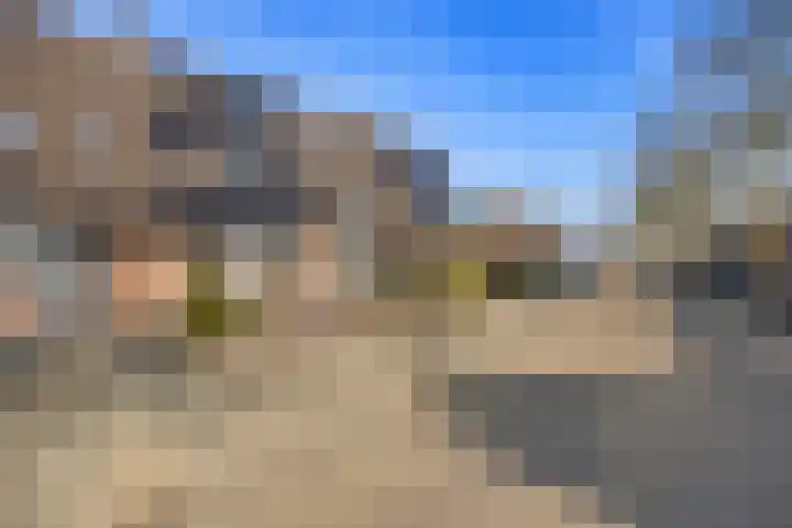 Hoogmeer 2033 Wijchen thumbnail 40