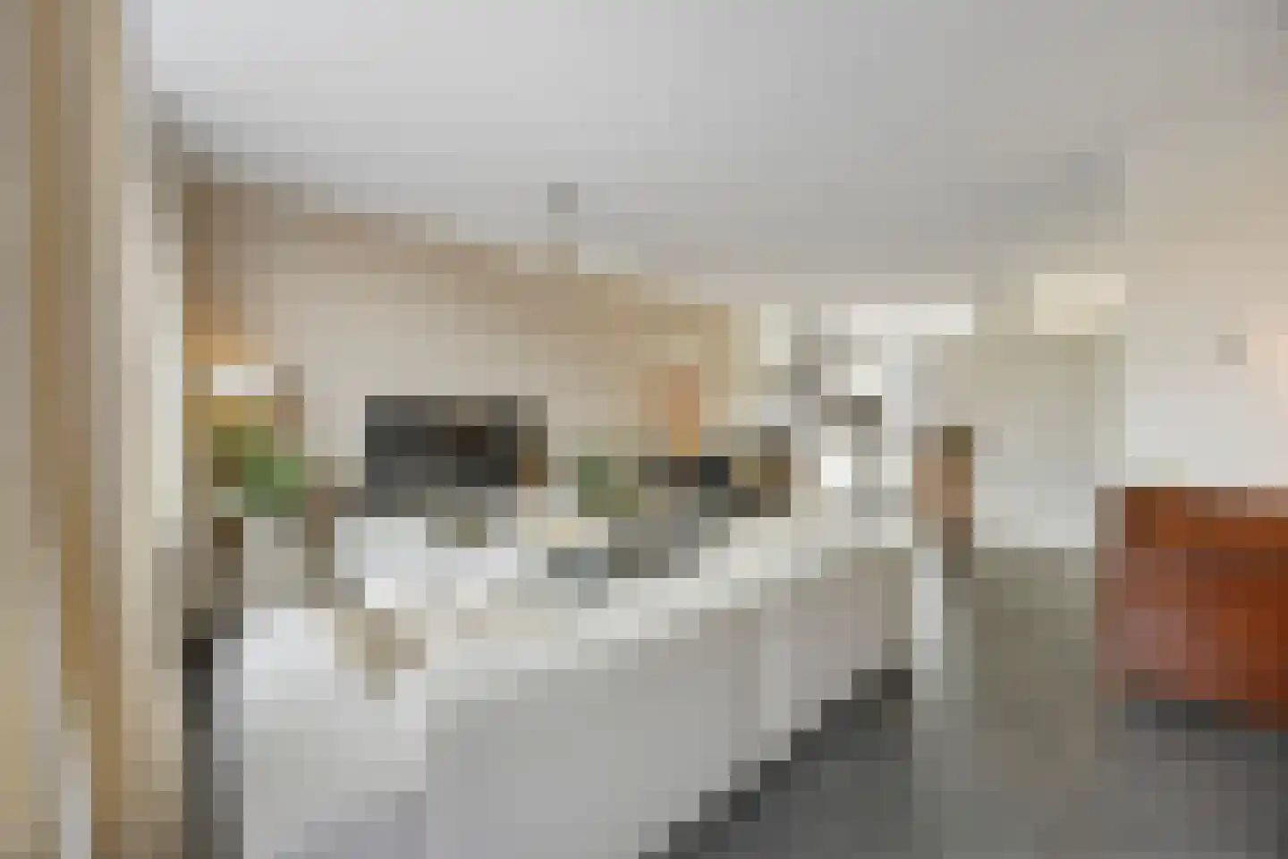 Hoogmeer 2033 Wijchen thumbnail 43