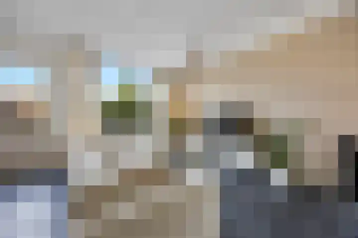 Hoogmeer 2033 Wijchen thumbnail 6