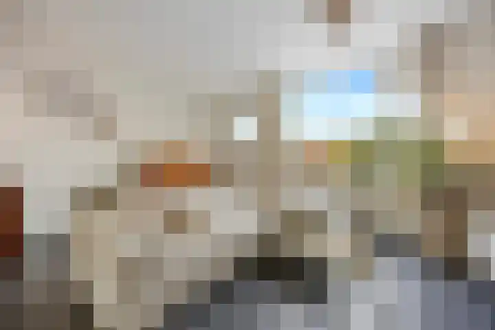 Hoogmeer 2033 Wijchen thumbnail 7