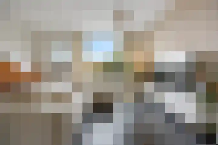 Hoogmeer 2033 Wijchen thumbnail 8