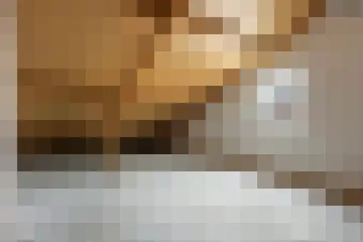 Hoogmeer 2053 Wijchen thumbnail 18