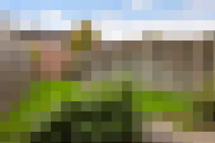 Hoogmeer 2053 Wijchen thumbnail 20
