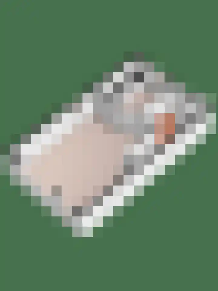 Hoogmeer 2053 Wijchen thumbnail 25