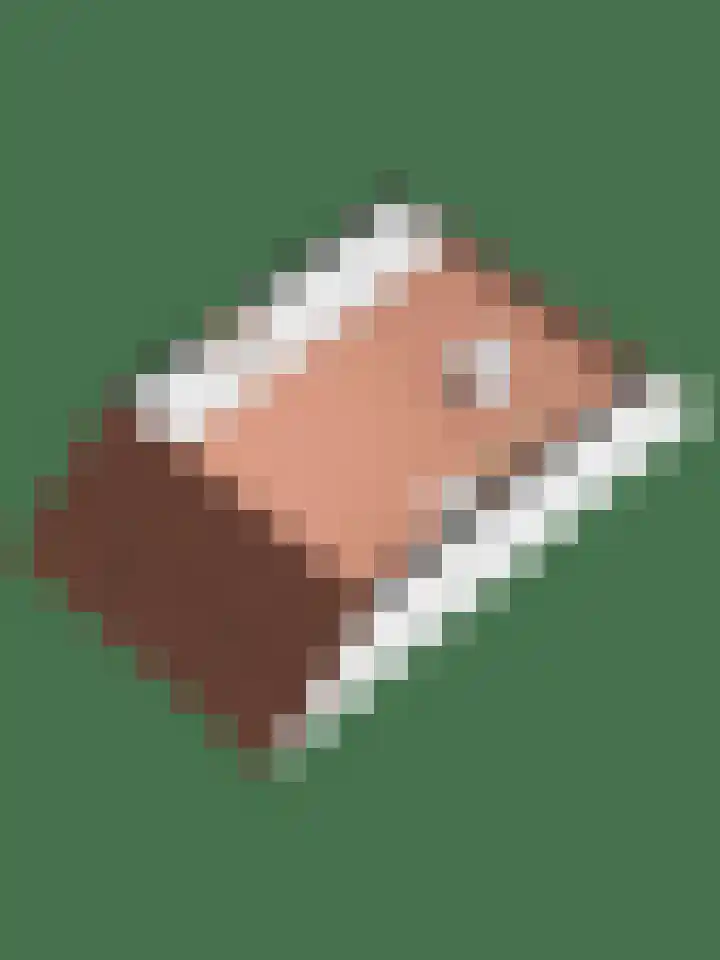 Hoogmeer 2053 Wijchen thumbnail 27