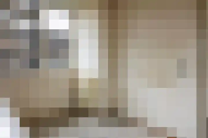 Hoogmeer 2053 Wijchen thumbnail 9