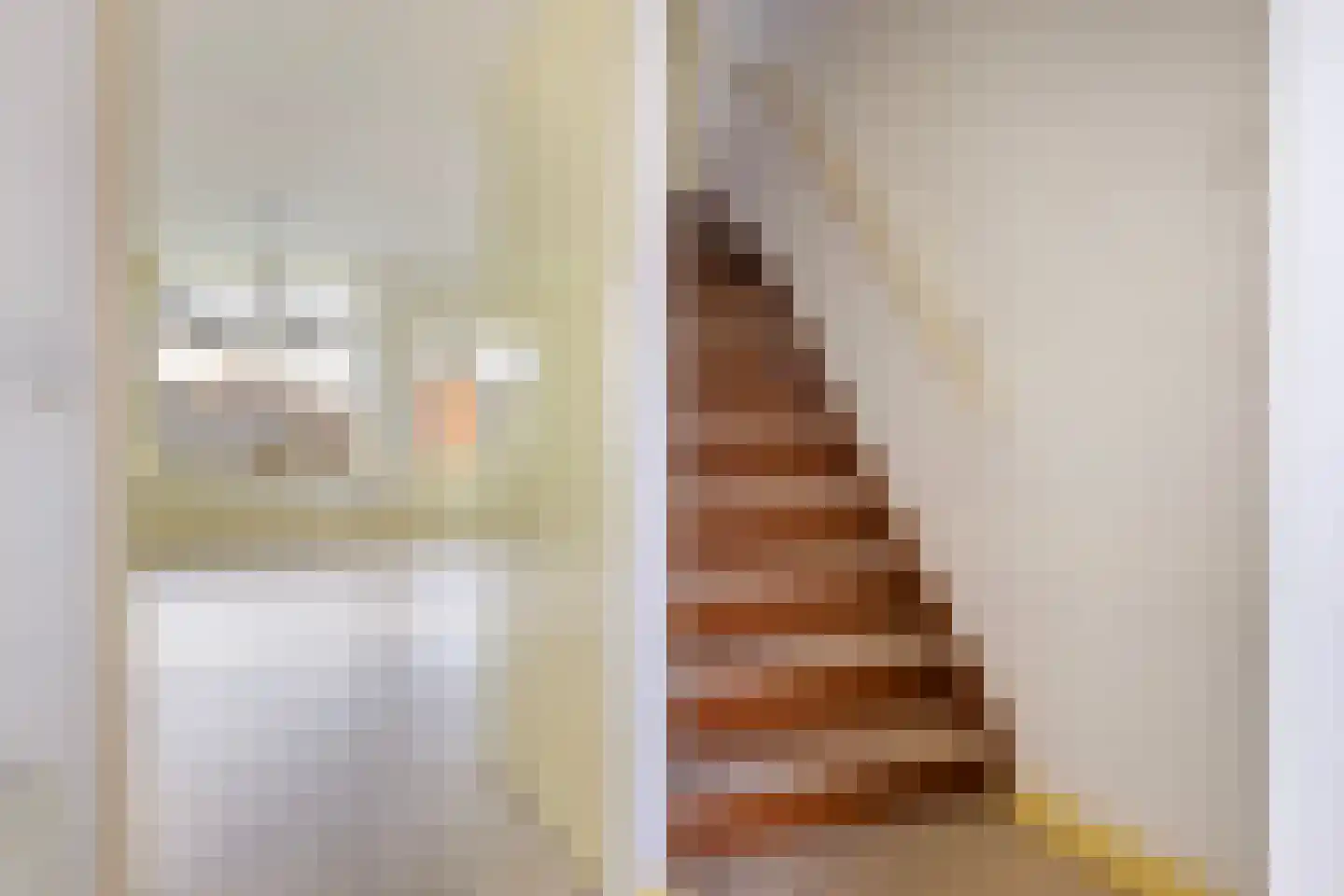 Hoogmeer 2224 Wijchen thumbnail 4