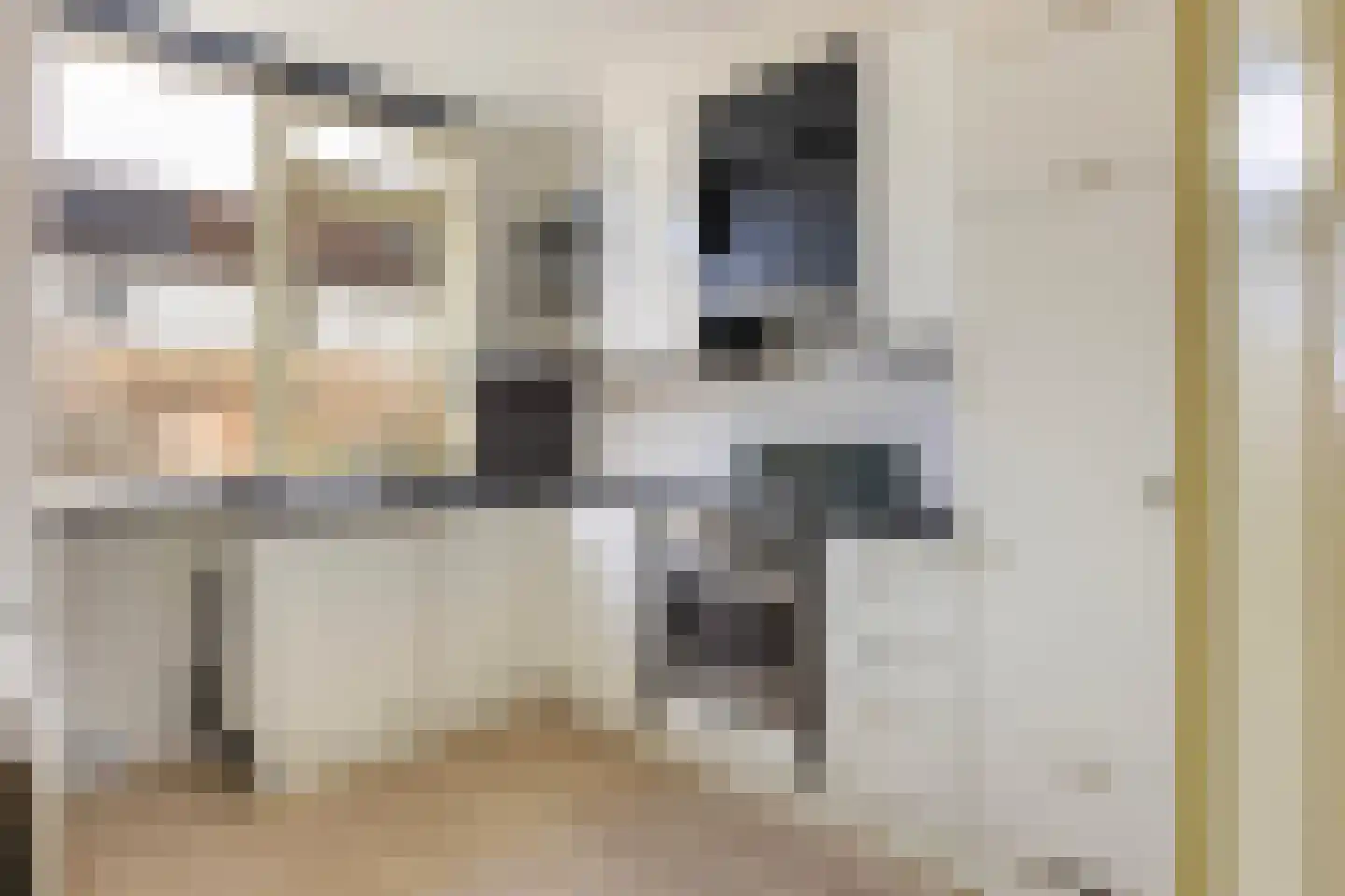 Hoogmeer 2224 Wijchen thumbnail 8