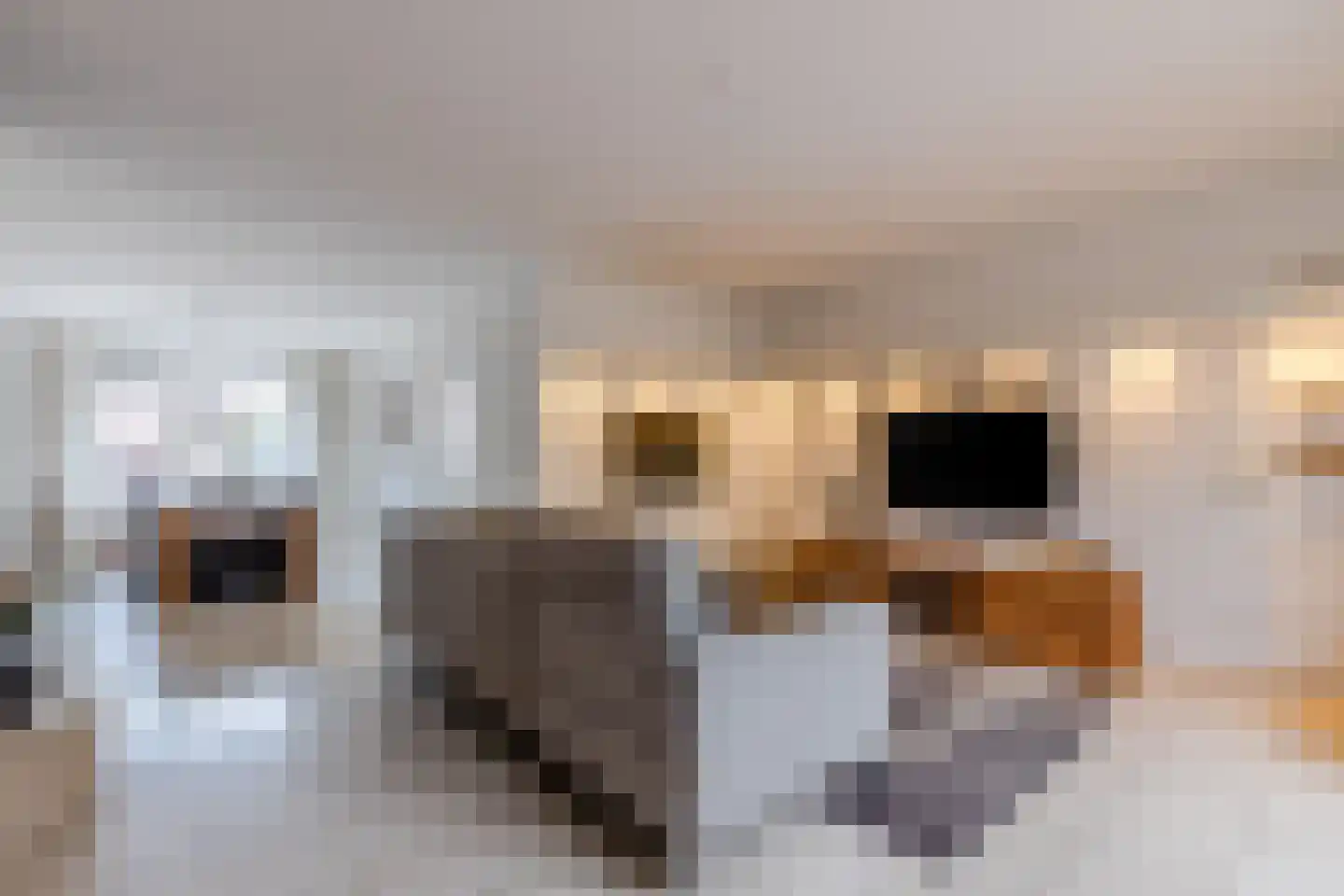 Hoogmeer 2301 Wijchen thumbnail 13
